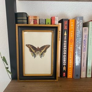 Vintage framed  butterfly art print